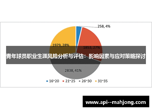 青年球员职业生涯风险分析与评估：影响因素与应对策略探讨